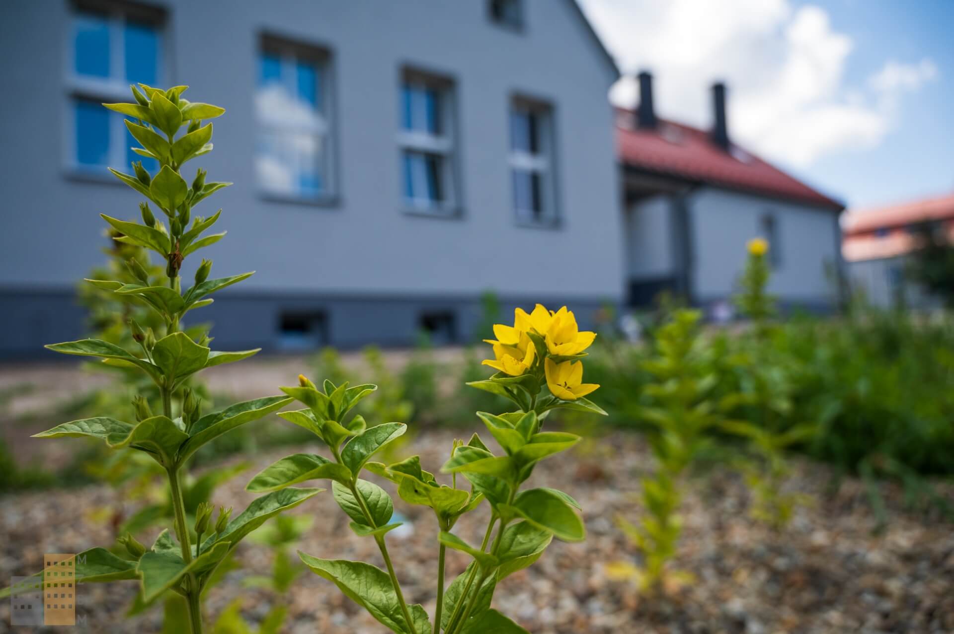 Budynek przy Szkolnej 70, Tychy-Wilkowyje