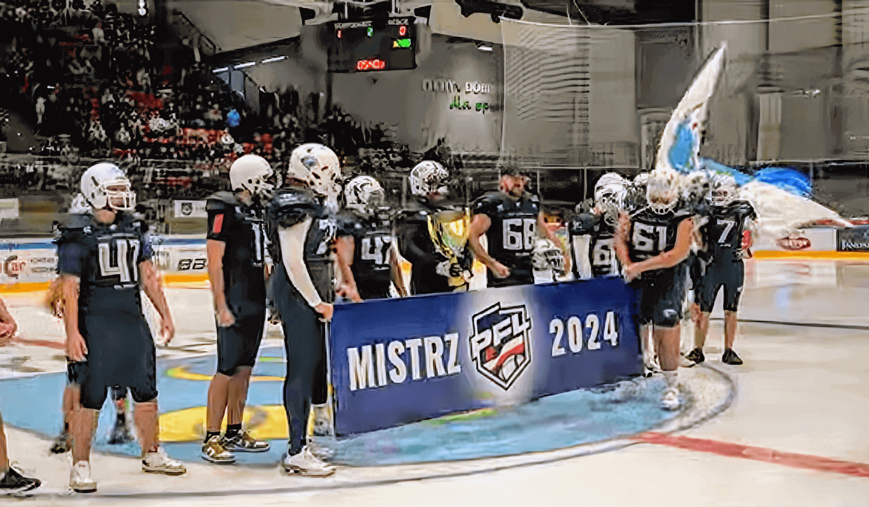 Tychy Falcons - drużyna futbolu amerykańskiego