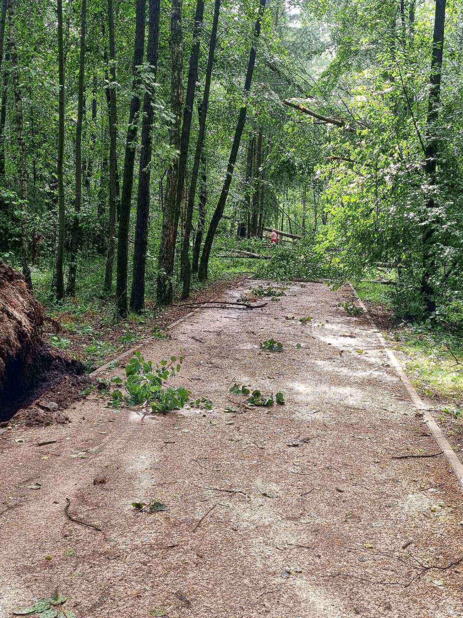 Skutki nawałnic 12.07.2024 w Tychach